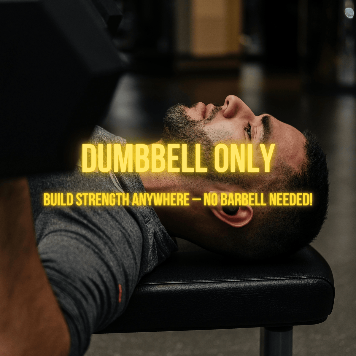 Ultimate Fitness Plan – All Workout Plans + Nutrition Guide